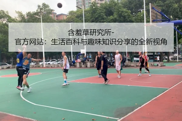 含羞草研究所-官方网站：生活百科与趣味知识分享的全新视角